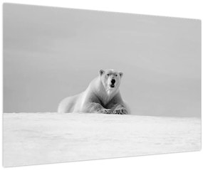 Tablou - Ursul polar (90x60 cm)