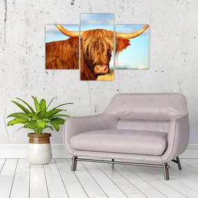 Tablou - Vacă scoțiană (90x60 cm)