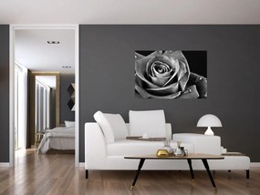 Tablou - Trandafir,alb-negru (90x60 cm)
