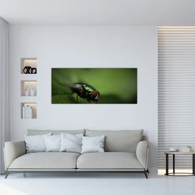 Tablou - Musca (120x50 cm), în 40 de alte dimensiuni noi