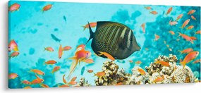 Tablou lumii submarine (120x50 cm)