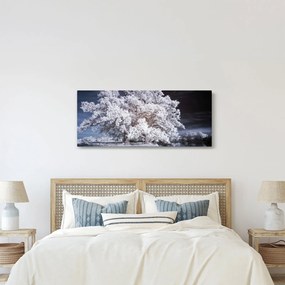 Tablou - Albă ca Zăpada Copac (120x50 cm)