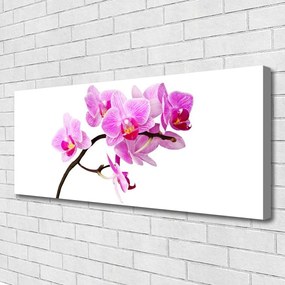 Tablou pe panza canvas Flori Floral Roz Maro