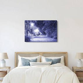 Tablou - Noaptea magică de iarnă (90x60 cm)