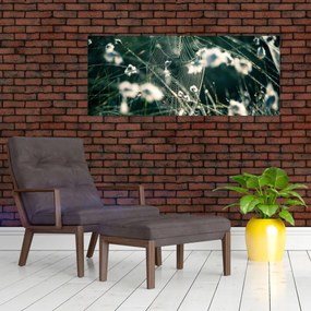 Tablou - Pânză de păianjen (120x50 cm)
