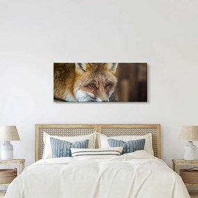 Tablou cu vulpe (120x50 cm)