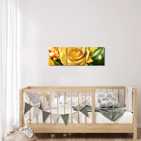 Tablou cu trandafir (cu ceas) (90x30 cm)