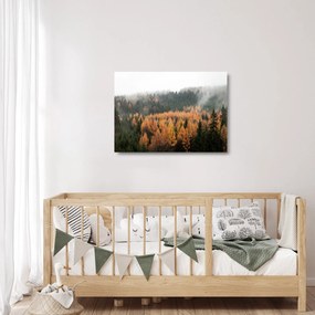 Tablou pe sticlă - Pădure toamna (70x50 cm)