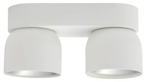 Spot aplicat tavan directionabil Pitcher 2L alb