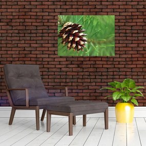 Tablou cu con (70x50 cm)