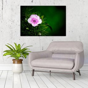 Tablou cu floare roz (90x60 cm)