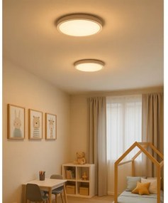 Plafonieră LED/24W/230V 3000/4000/6500K Ø 30 cm alb