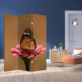 Paravan - Fluture pe floare (126x170 cm)