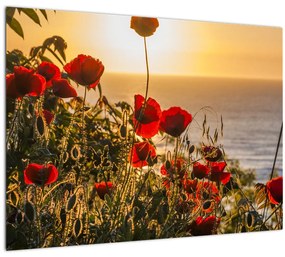 Tablou cu apus de soare cu flori de maci (70x50 cm)
