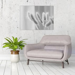 Tablou pe sticlă - Iarbă de coadă de iepure (70x50 cm)