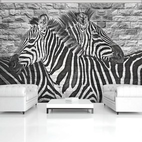 Fototapet - Zebre pe peretele din cărămizi (152,5x104 cm), în 8 de alte dimensiuni noi