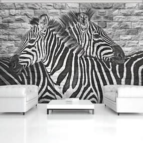 Fototapet - Zebre pe peretele din cărămizi (152,5x104 cm)