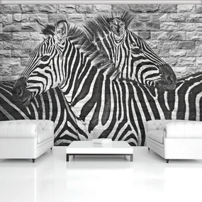 Fototapet - Zebre pe peretele din cărămizi (254x184 cm)