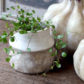 Ghiveci crem din ceramica, H13/D14 cm Rennes