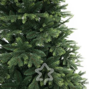 Molid de Himalaia 180 cm