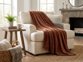 Patura din microplus SOFT, maron Dimensiune: 160 x 200 cm