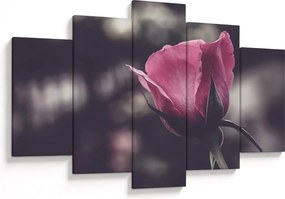 Tablou - Detaliu florii de trandafir (150x105 cm)