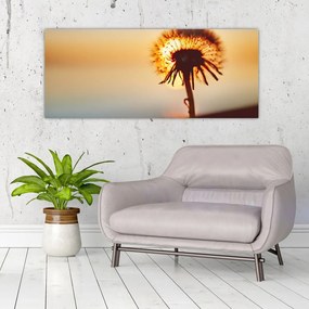 Tablou - Păpădie la apus de soare (120x50 cm)