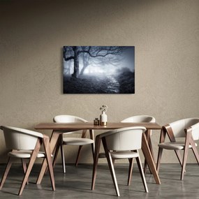 Tablou - Drum pin ceață (90x60 cm)