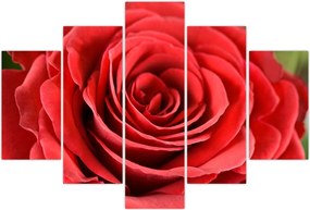 Tablou - Flori de trandafir (150x105 cm)
