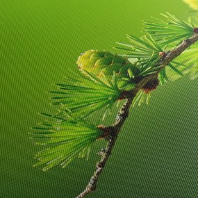 Tablou con verde (cu ceas) (90x30 cm)