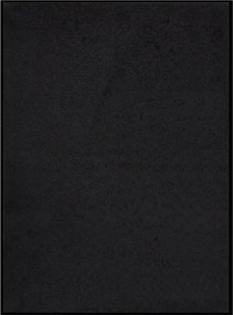 vidaXL Covoraș de ușă, negru, 60x80 cm