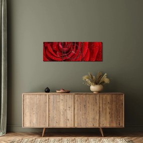 Tablou - detaliu de trandafir (cu ceas) (90x30 cm)