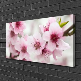 Tablou pe panza canvas Flori roz Floral