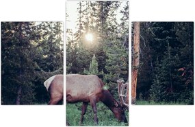 Tablou - Elan în poiană (90x60 cm)