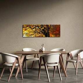 Tablou cu toamna (cu ceas) (90x30 cm)