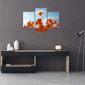 Tablou - Flori sălbatice (90x60 cm)