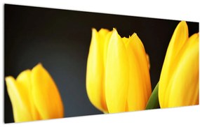 Tablou cu lalele (120x50 cm)