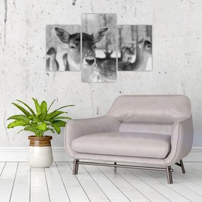 Tablou - Cerbi,alb-negru (90x60 cm)