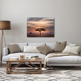 Tablou apusului de soare în Tanzania (70x50 cm)
