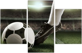 Tablou - Minge de fotbal (90x60 cm)