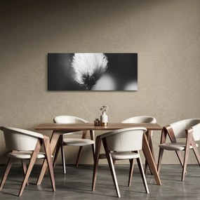 Tablou - Coțofană neagră și albă (120x50 cm)