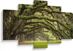 Tablou - Oaks Avenue, Charleston, Carolina de Sud, SUA (150x105 cm)