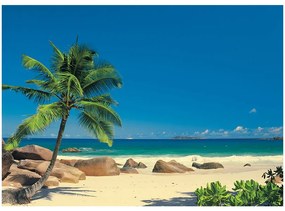 Fototapet natura - Plaja Seychelle