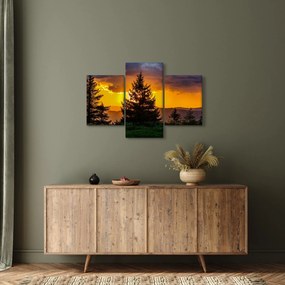 Tablou - coniferi (90x60 cm)