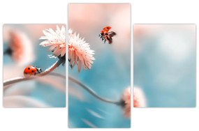 Tablou - Buburuze pe floare (90x60 cm)