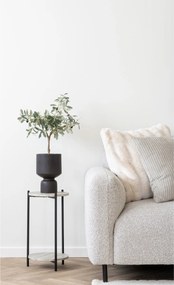 Măslin Oslavia 1 (verde). Promo -10%. 1147264