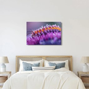 Tablou - Caterpillar (90x60 cm)