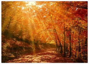 Tablou cu pădurea în toamnă (70x50 cm)