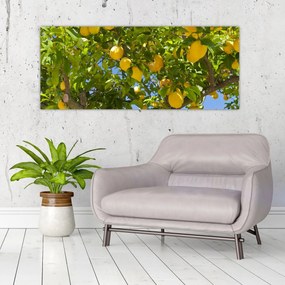 Tablou - Lămâiță (120x50 cm)