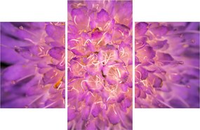 Tablou detailat cu floare (90x60 cm)